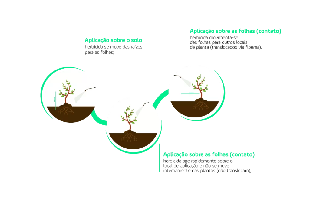 Dessecação Pré Plantio do Trigo Universo AgroGalaxy