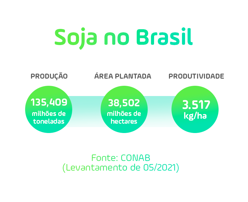 Dados mostrando a importância da soja no Brasil: produção, área plantada e produtividade.