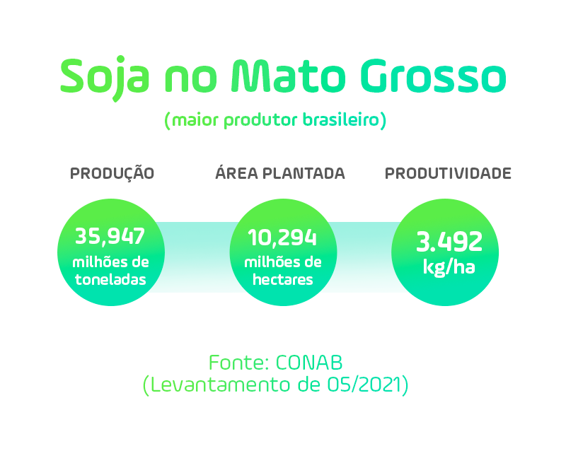  O Mato Grosso é o maior produtor de soja no Brasil.