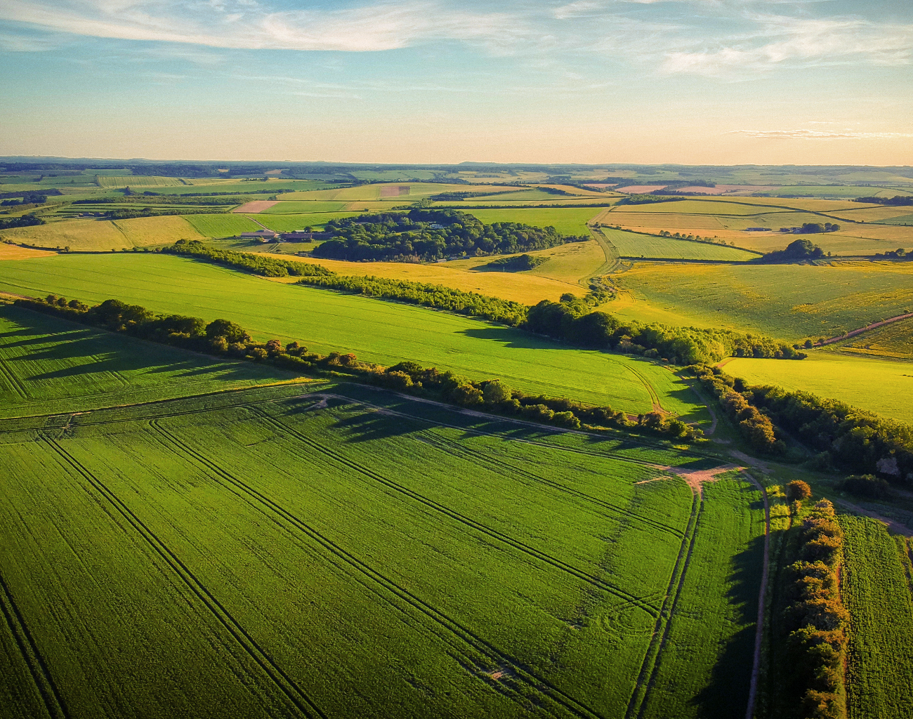 Entenda o que é a agricultura de precisão e seus benefícios à sua produção