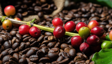 Mudanças climáticas influenciam demanda por cafés robusta e