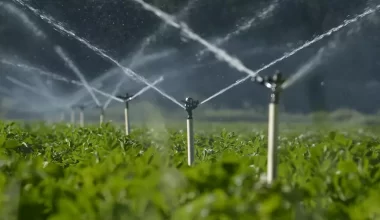 Irrigação por Aspersão: saiba tudo sobre