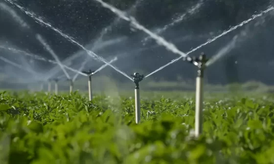 Irrigação por Aspersão: saiba tudo sobre