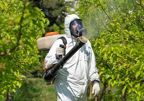 Conheça o pulverizador atomizador