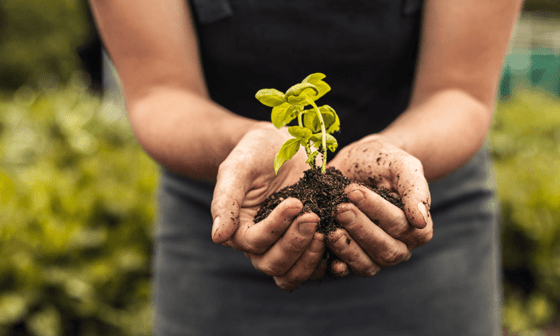 Saiba tudo sobre a agricultura sustentável no Brasil com o Universo AgroGalaxy!