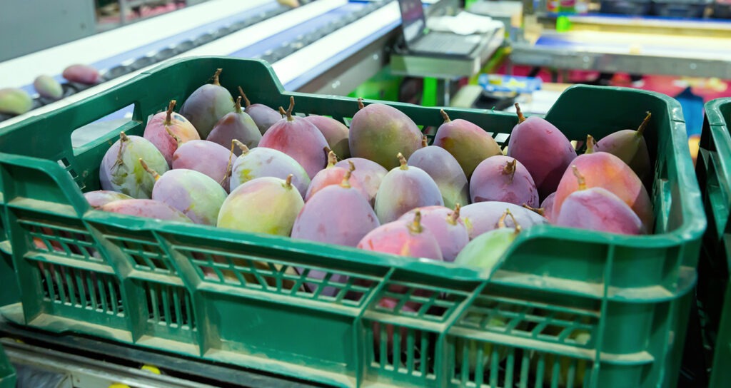 Brasil é o 3° maior produtor de frutas do mundo