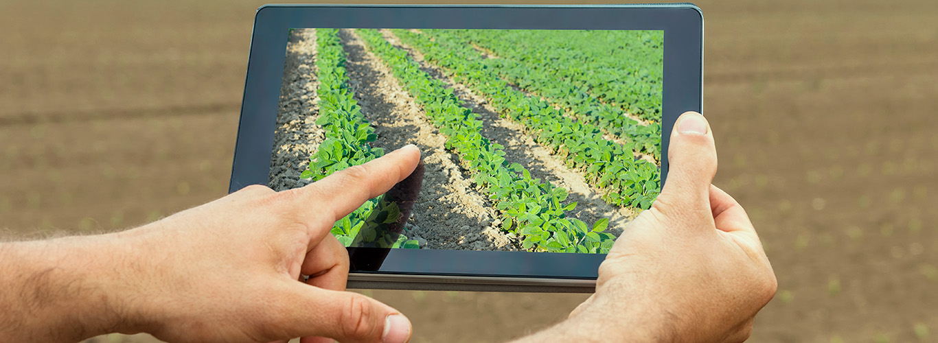 Saiba mais sobre a Tecnologia na Agricultura