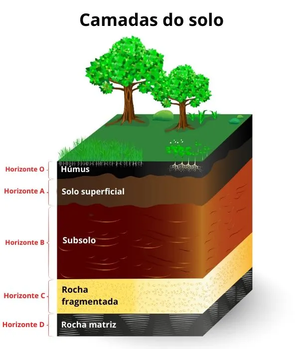 Conheça quais são as camadas do solo