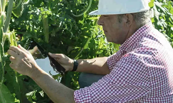 Saiba como fazer o controle de qualidade na agricultura!