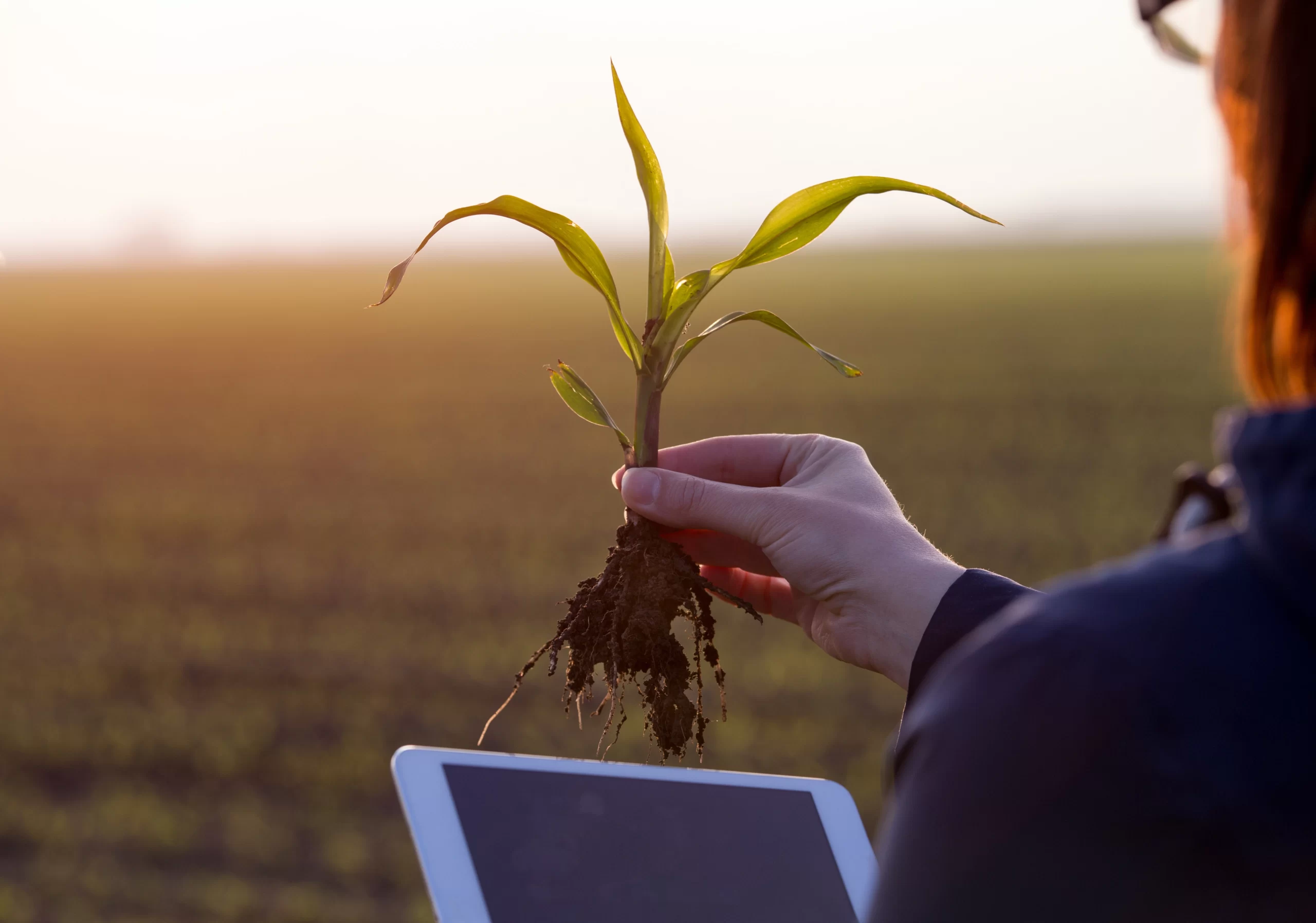 Universo AgroGalaxy Tudo sobre Agricultura Agronegócio e Mais