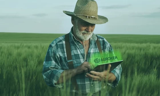 Dicas para melhorar sua produtividade agrícola