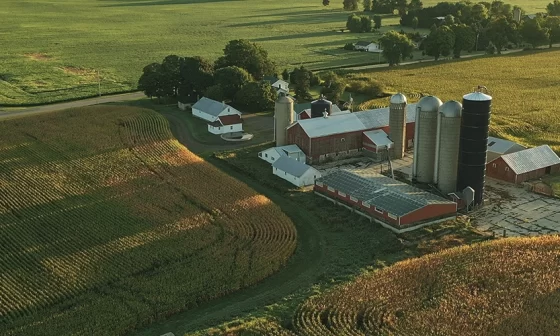 Produção agrícola: principais tipos