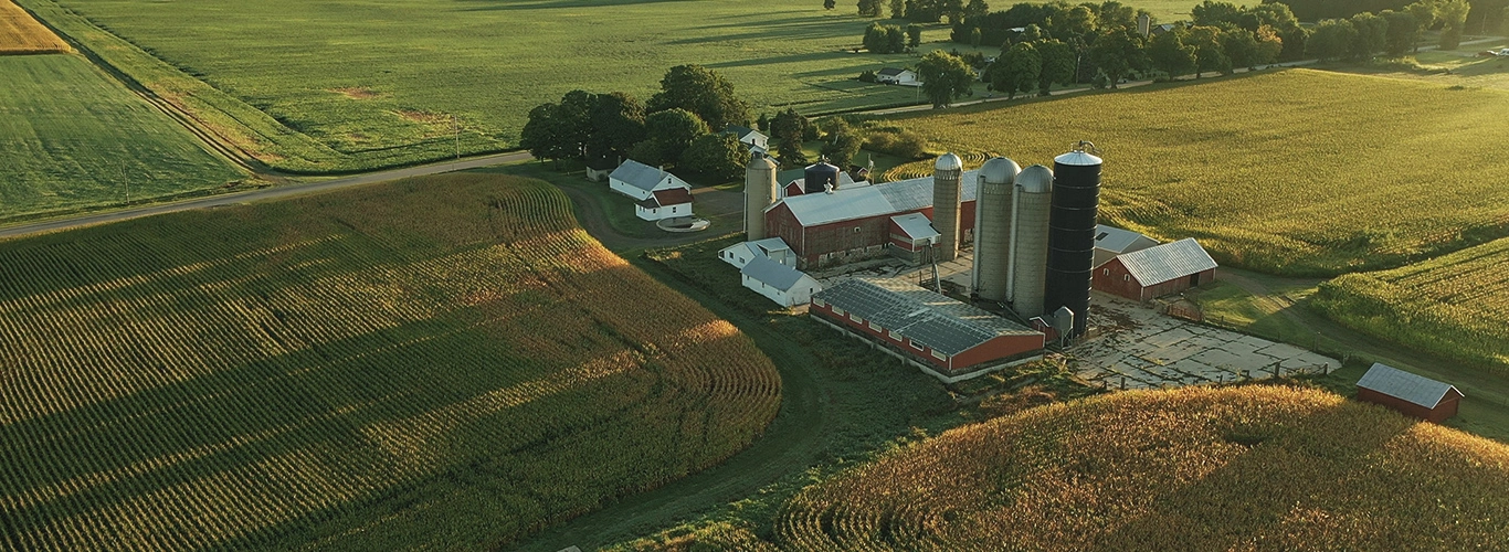 Produção agrícola: principais tipos