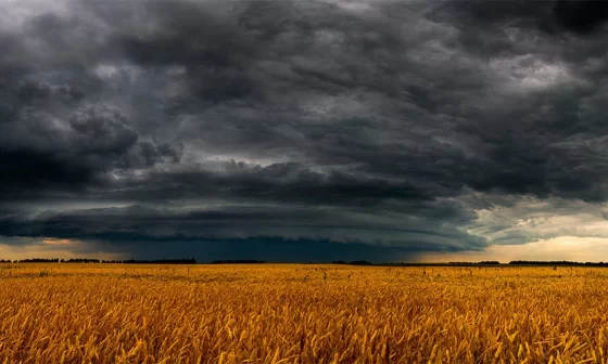 Entenda o que é El Niño: causas, efeitos e impactos