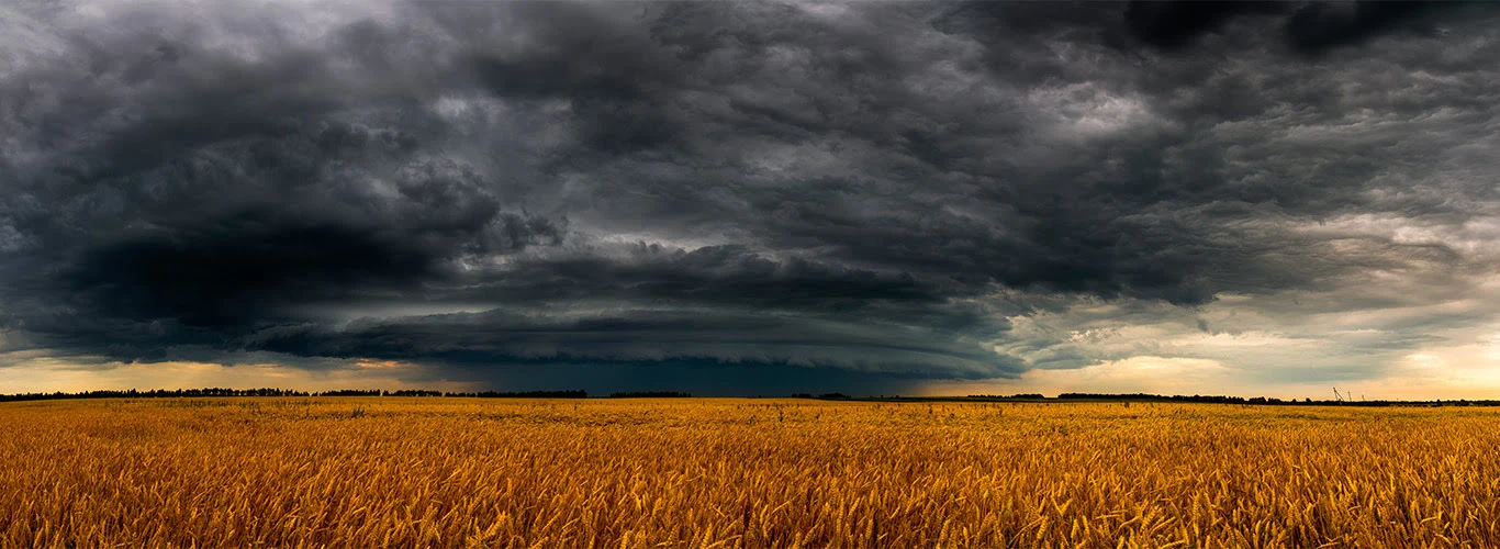 Entenda o que é El Niño: causas, efeitos e impactos