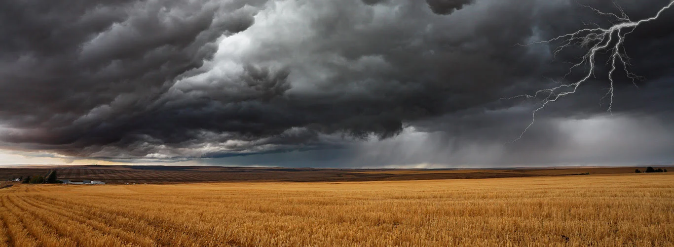 Descubra quais os impactos do El Niño nas produções agrícolas?