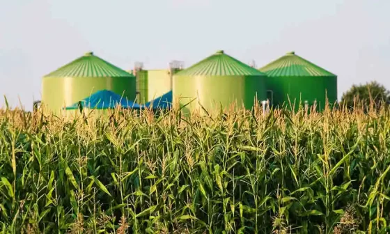 Descubra quais as principais fontes de produção de biocombustíveis