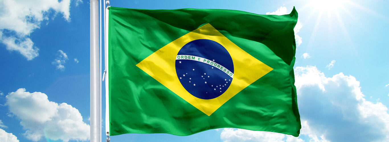 Agronegócio no Brasil: Conheça os 5 Estados que mais produzem